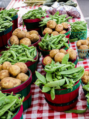 Organic vegetables on the market