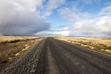 Fototapeta na wymiar Gravel Road through the Camp (Countryside) East Falkland, Falkla