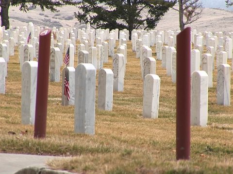 A detail of Arlington National Cemetery with white headstones and section markers.