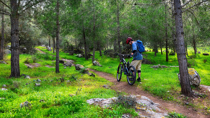 Obraz premium Bicyclists walking in a green forest