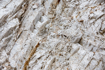 Parete rocciosa, particolare in primo piano