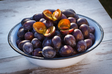 Heap of plums in metal bowl on wooden table in garden on sunny day