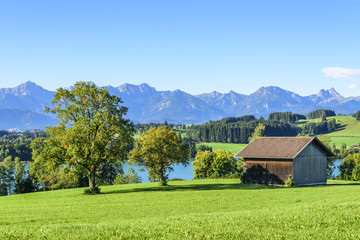 Herbstliche Stimmung im Ostallgäu am Forggensee