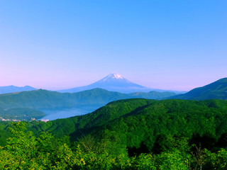 大観山朝富士