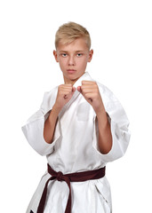 karate boy with  brown belt