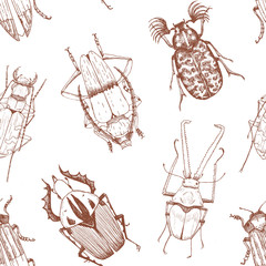 Nice beetles vector pattern