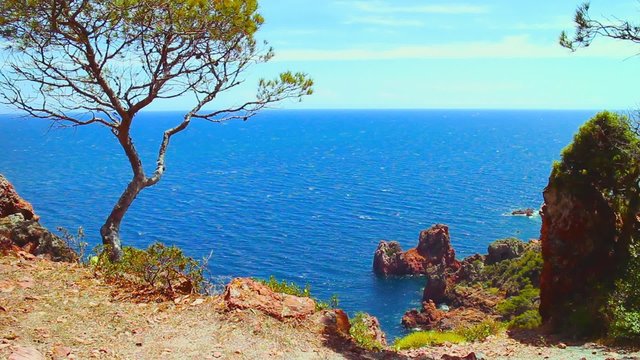 Mediterranean coast of France