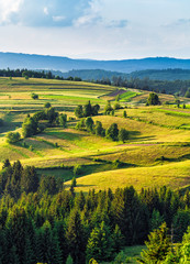 mountain meadows and pastures © am13photo