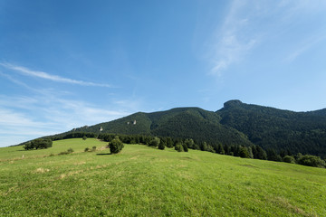 mountain meadows and pastures in Slovakia