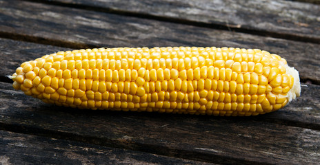 close up Fresh Ripe Sweetcorn on old wooden table. ready to cook