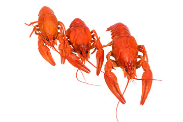 photo of three boiled crayfish