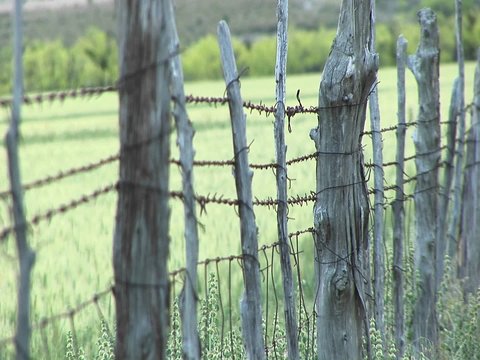 Close-up of barbed-wire wrapping around cedar fence posts.