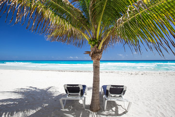 Two beach beds under palm tree on  beachfront
