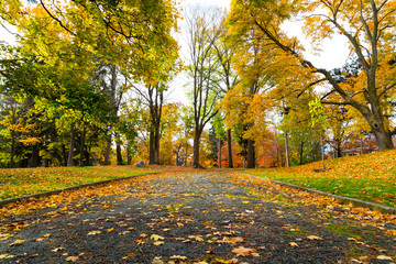 Pedestrian Path in Canada in the Fall