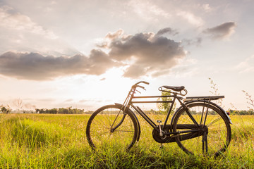 Naklejka na ściany i meble beautiful landscape image with Bicycle