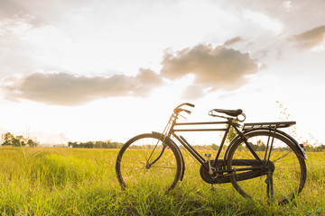 Plakat beautiful landscape image with Bicycle