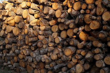 Wall of wood napilennyh