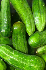 cucumbers
