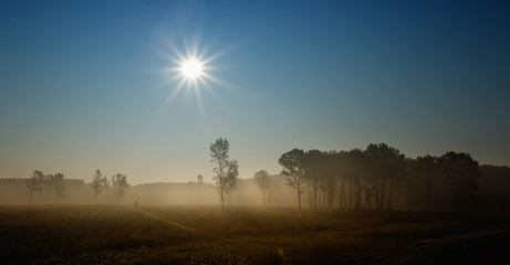 Foggy landscape in plains