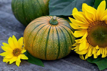 Freshly picked pumpkins with sun flower