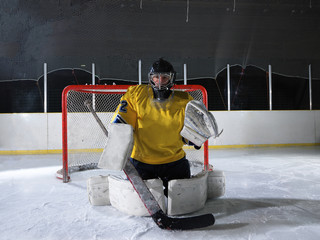 Naklejka premium ice hockey goalkeeper
