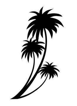 Tropical coconut palm trees silhouette