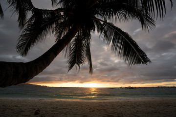 Sunset on tropical beach with palmtree silhouette