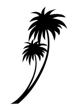 Tropical coconut palm trees silhouette