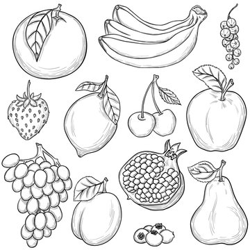 Sketched fruits