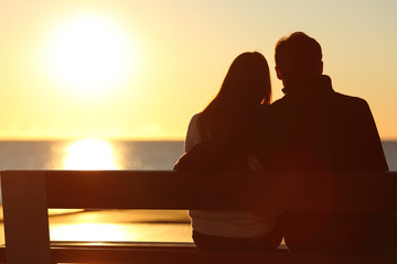 Back view of a couple watching sun on the beach - Powered by Adobe