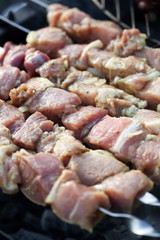 Skewered marinated raw pork