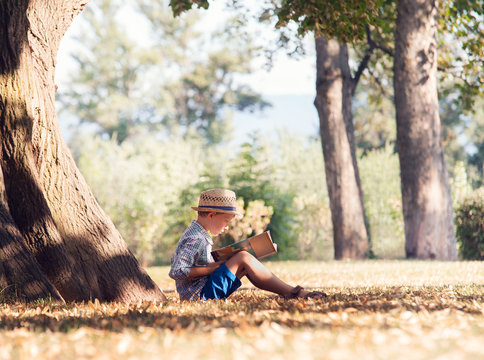 Boy read a book in tree shadow in sunny day