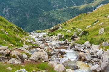 Mountain creek.