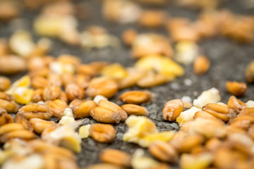 Macro image of Grain Corn