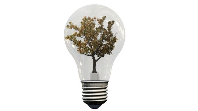 
Tree in a light bulb - Energy saving