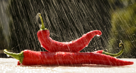 red peppers in the summer rain