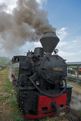 Naklejka na ściany i meble wood-burning locomotive