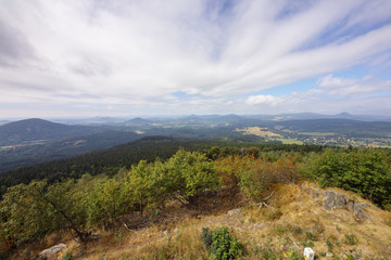 Fototapeta premium Hochwald