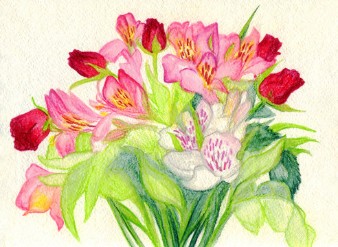 Tulips and roses. A bouquet of flowers. Watercolor painting
