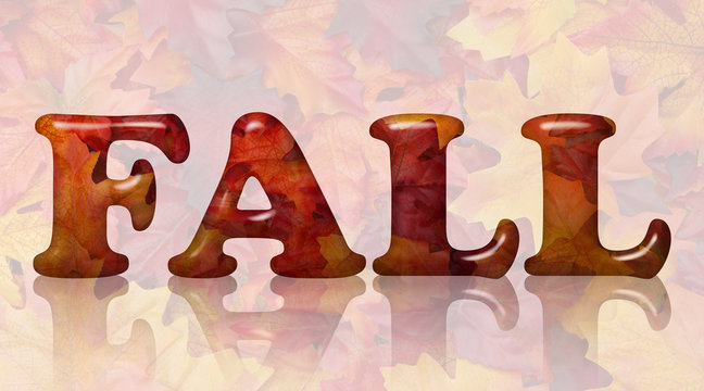 Fall in Fall Leaves