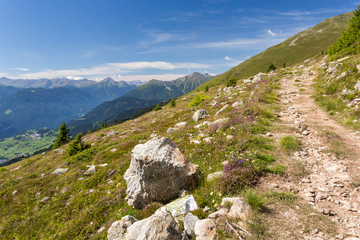 Sentier en montagne