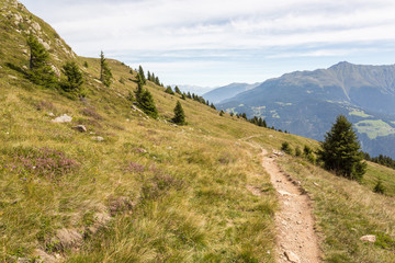 Fototapeta na wymiar Sentier en montagne