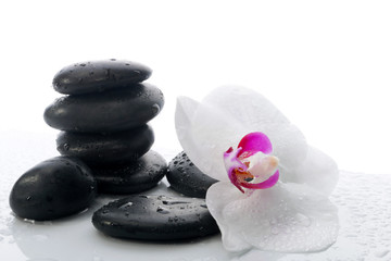 White Orchid and spa stones on a white background