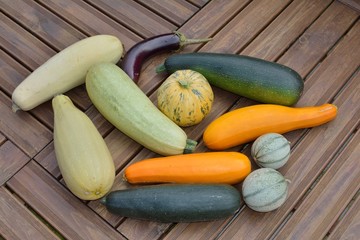 Ensemble de cucurbitacees sur une terrasse en lames de bois