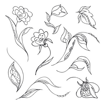 Fiori sketch n.1