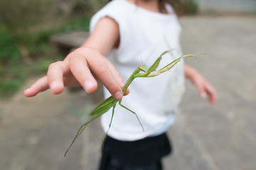 カマキリを捕まえた子供