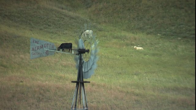 ECU Aerometer windmill, ZM to VWS cattle