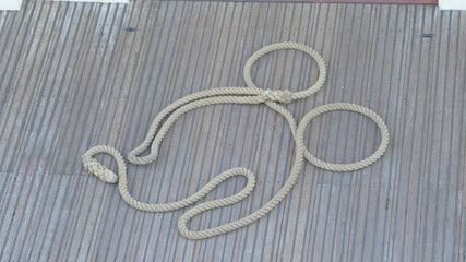 ロープミッキー