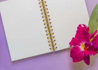 Notebook with colorful orchid