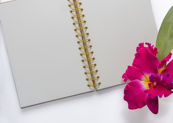 Notebook with colorful orchid